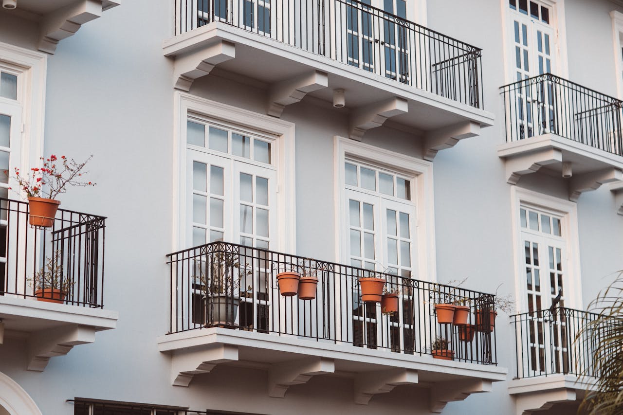 1 bed apartment